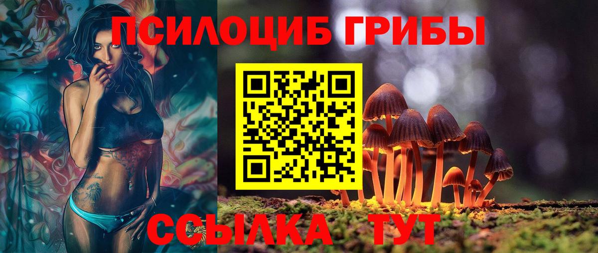 Галлюциногенные грибы Magic Shrooms  Вход с VPN  Избербаш 